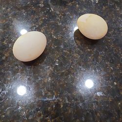 Fertilized DUCK eggs For Eating Or Hatching