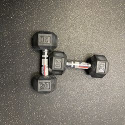 20lb Dumbells WEIDER Brand New