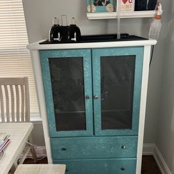 Armoir Converted To Chameleon enclosure