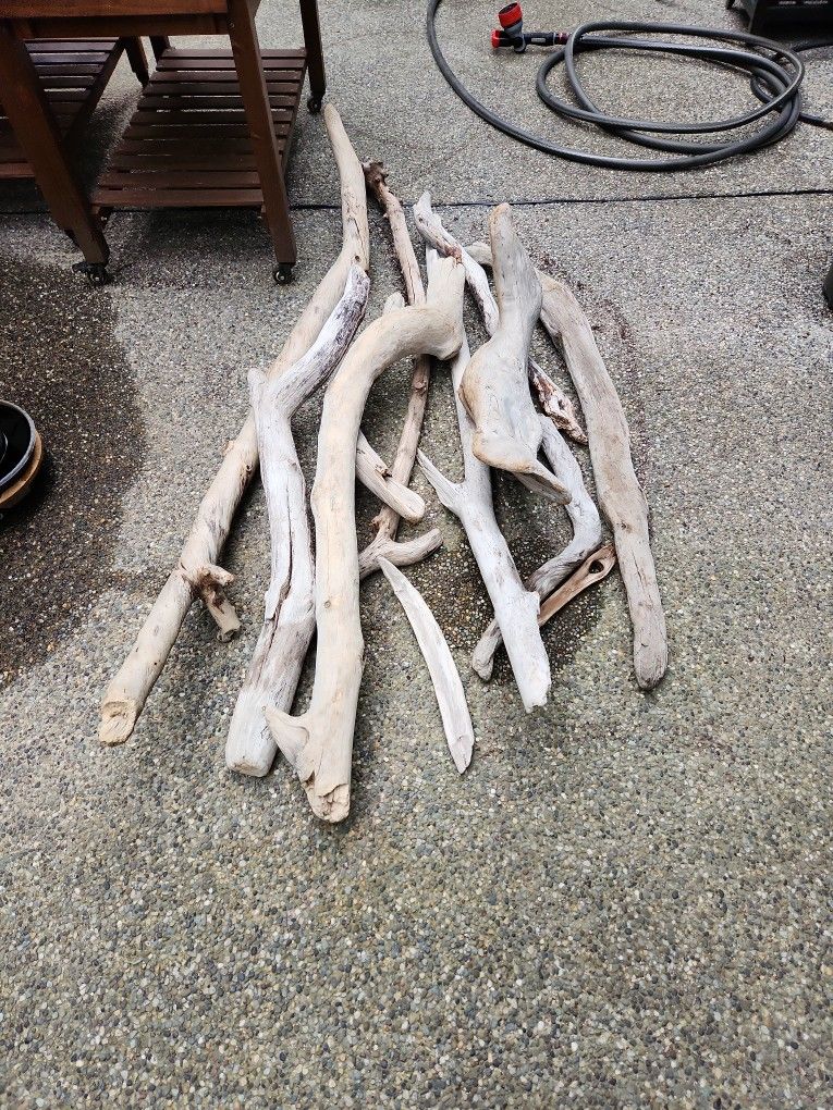 Driftwood Collection-Moving Sale