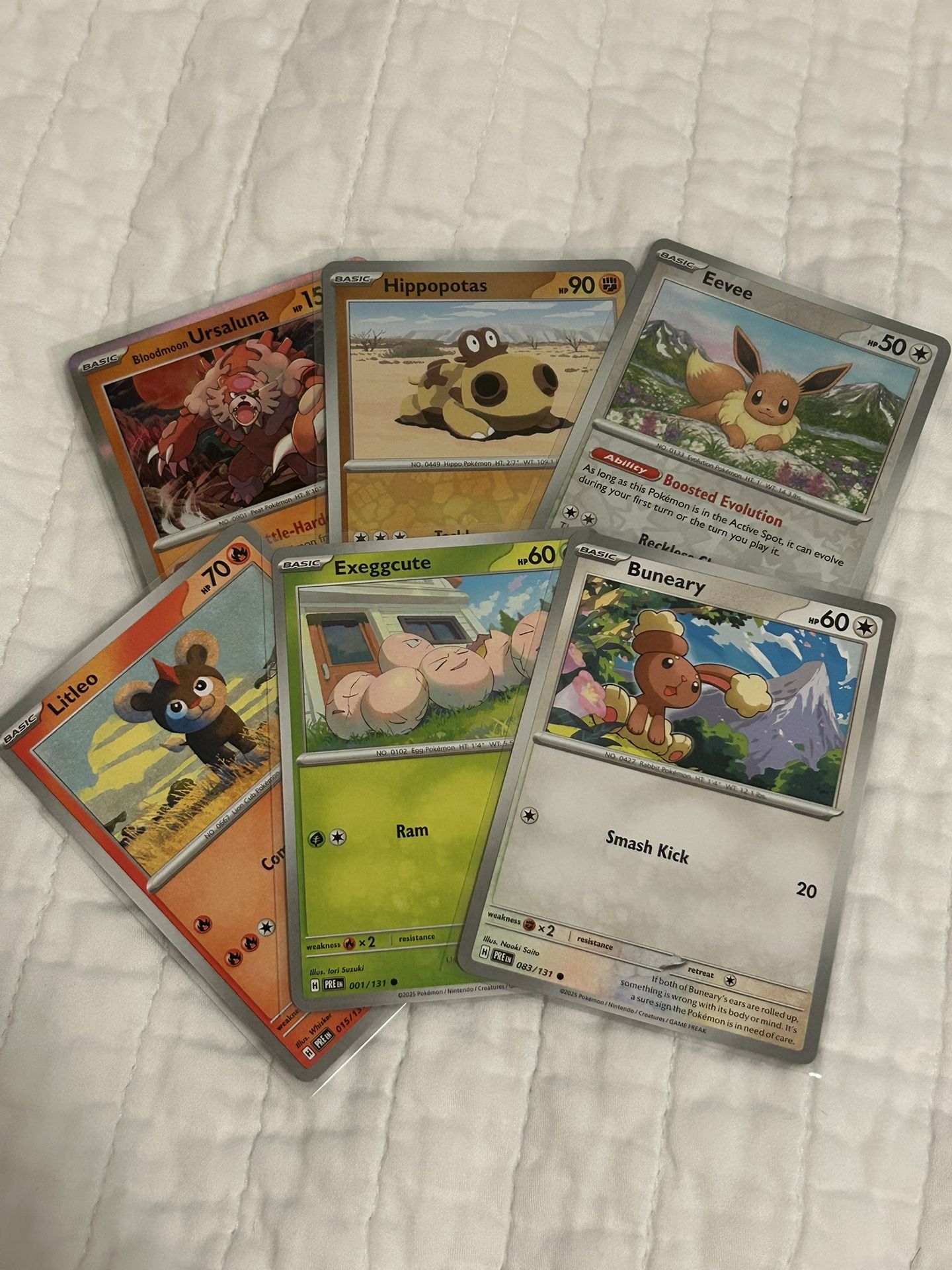 Prismatic Evolutions: Ursaluna, Hippopotas, Eevee, Litleo, Exeggcute, Buneary