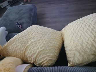 Set yellow