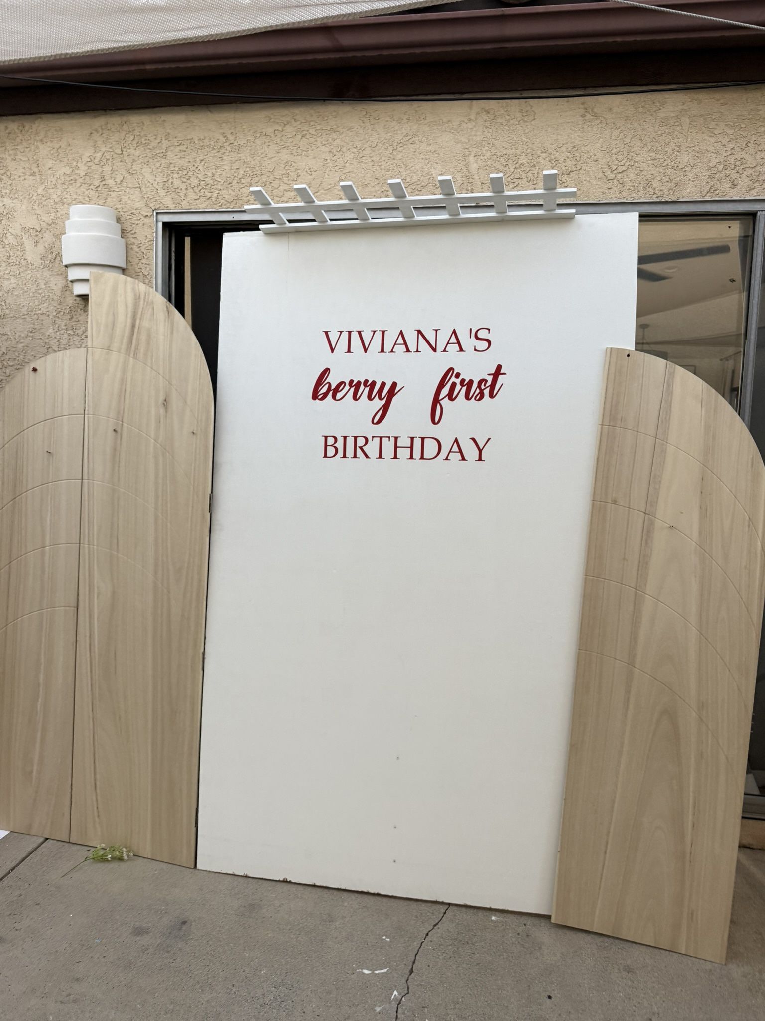 Party Backdrop 