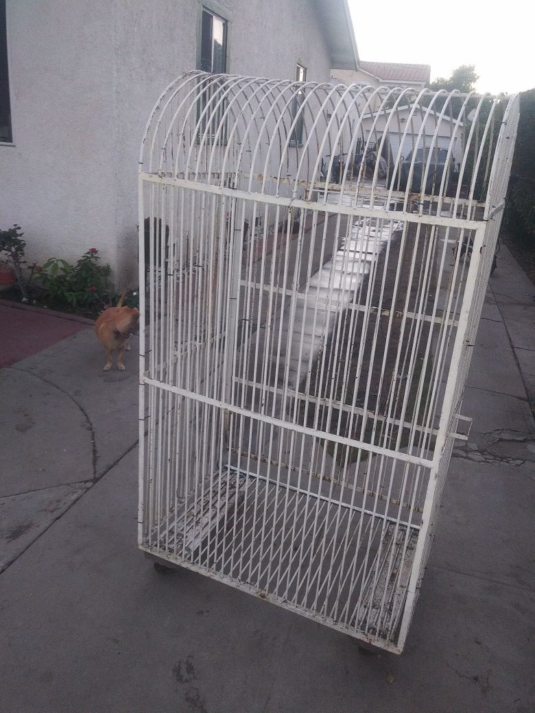 Bird cage parrot good to go...also have other ones for more info