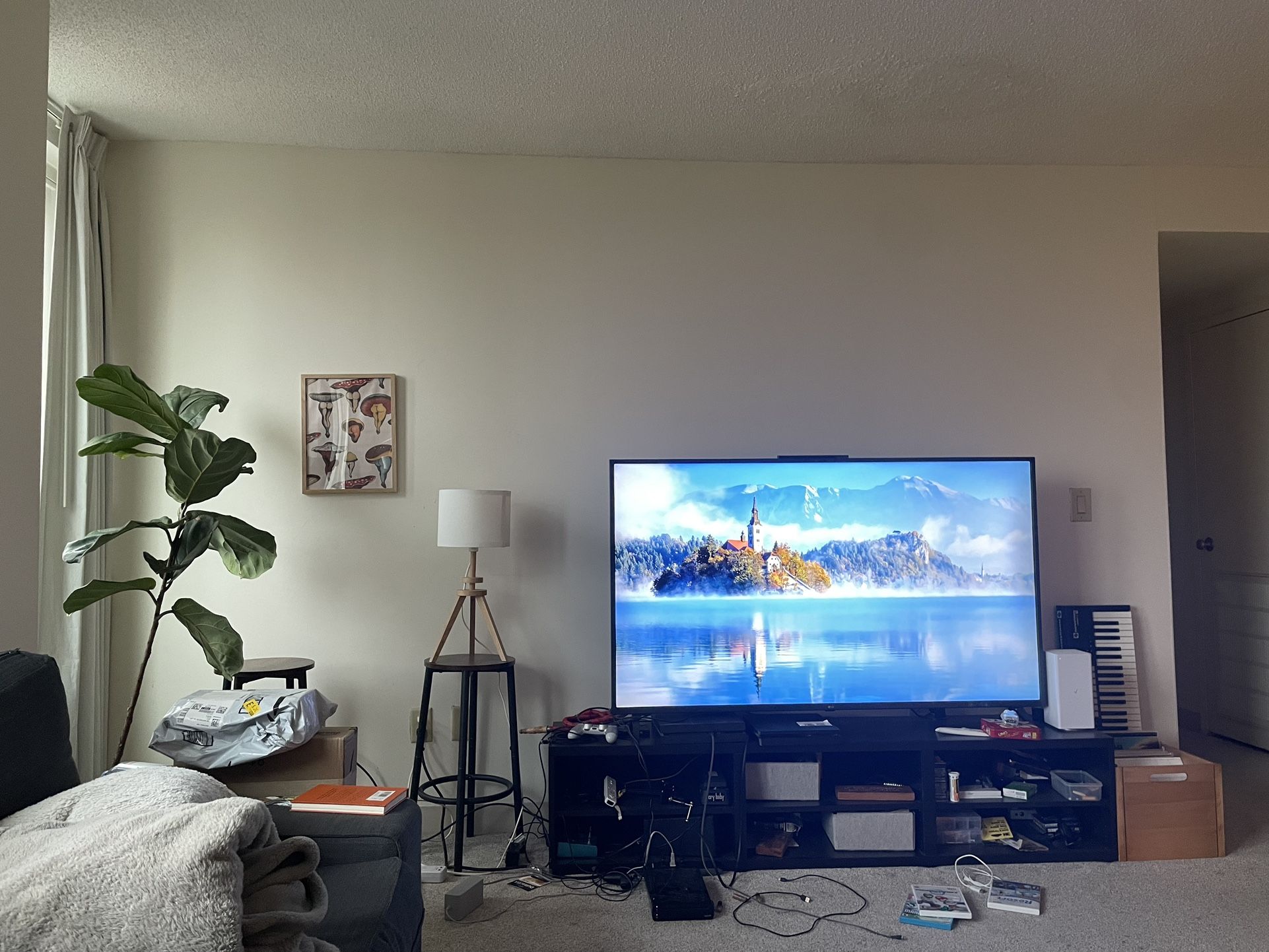 LG 65 Inch