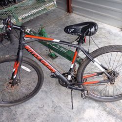 Bicycle $100