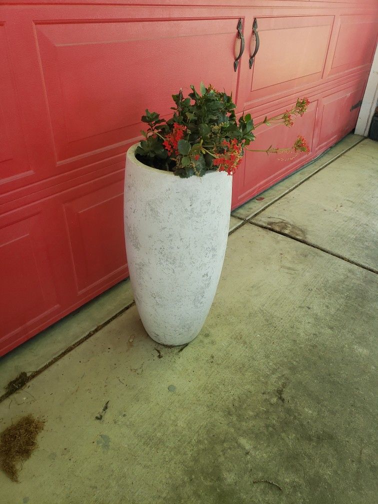 Flower Pot With Flower