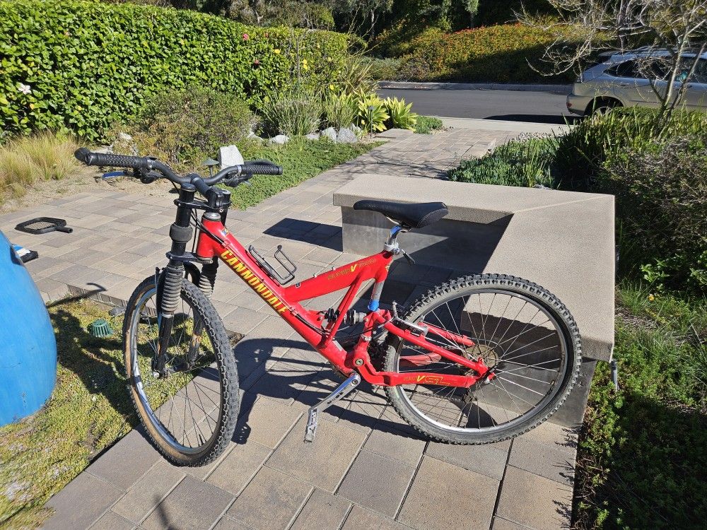 Cannondale Super V1000 