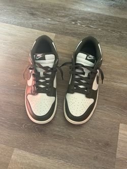 *Send Offers*Nike dunks size 10’5
