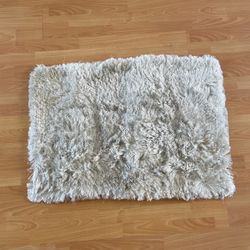 Small shag rug