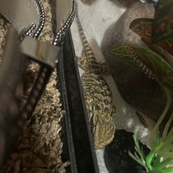 40 gallon tank & etc