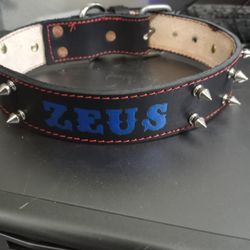Dog Collar  All  Sizes  Leather  100%  With  Spike  ( Collares Para Perros Todas Las Medidas Con Nombre Y Pikos 