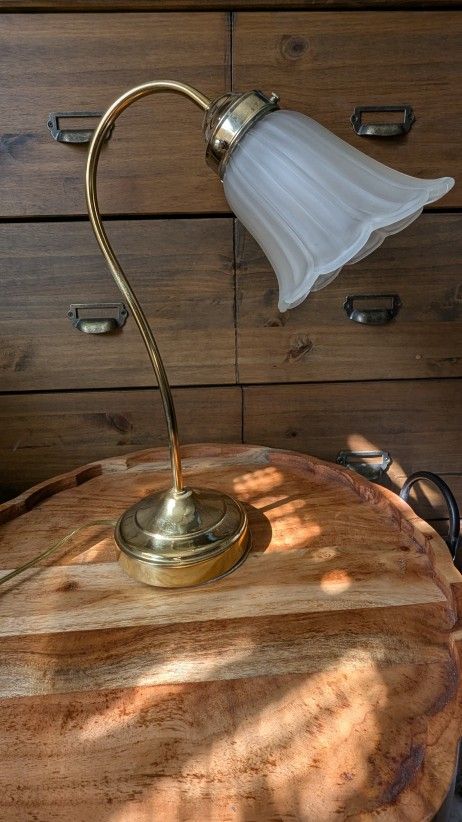 Vintage Brass Gooseneck Lamp w/ Frosted Tulip Glass Shade — 3-Mode Light