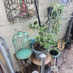 Big Plant Sale !!!! Everything Is For Sale!!!