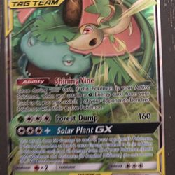 Pokémon Tag Team Venusaur And Snivy