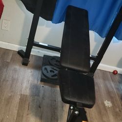 Asiento Y Pesas Para Ejercicios 