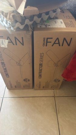 Ceiling fans