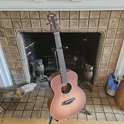 2022 GS Mini Special Edition Acoustic Guitar