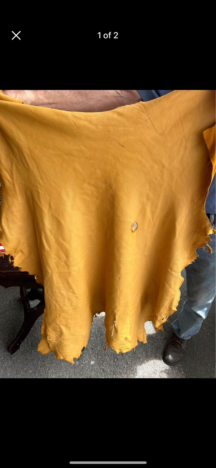 Deer Hide