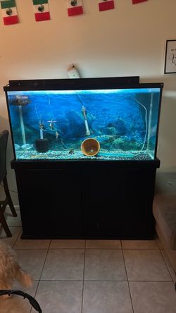 78 gallon tank with stand