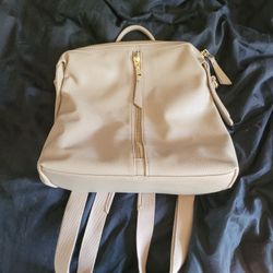 Backpack/purse