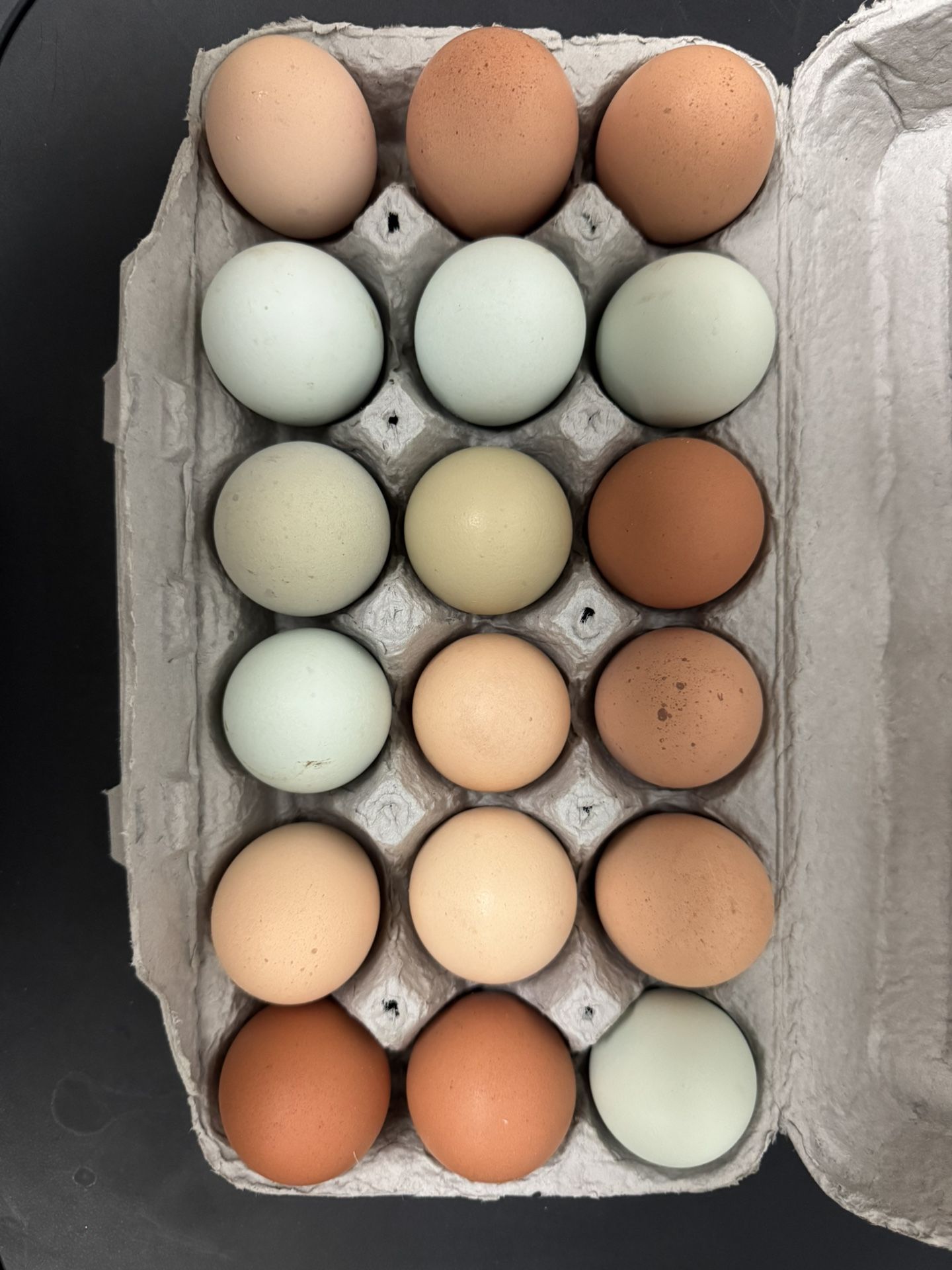 Free 🥚