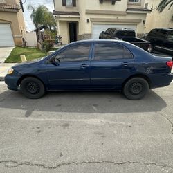 toyota carolla 