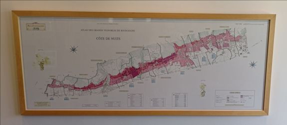 Vintage wine map - Vins de Bourgogne - Burgundy - Cote de Nuits - Larmat Framed