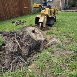 Stump Grinding 61