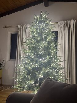 Home Depot Grand Duchess Twinkling Balsam Fir Christmas Tree