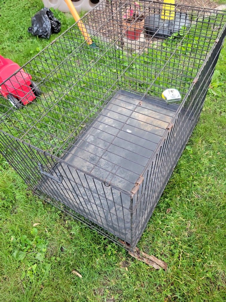 Dog Cage