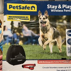 Doggo Goodies + Supplies