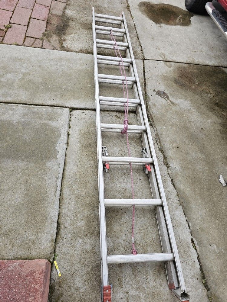 20ft Werner ladder