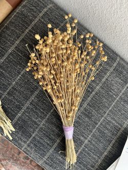 Decorative Dried Stems