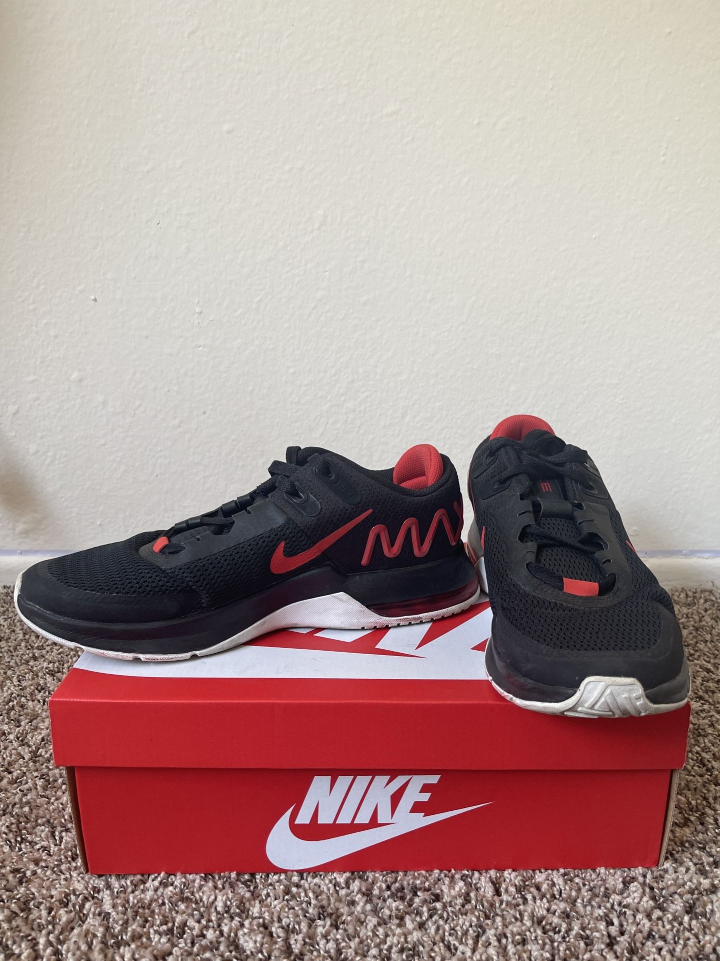 Nike Max Sneakers