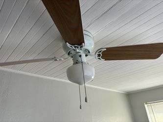 44 In White Ceiling Light And Fan Fully Functional.