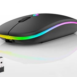 Wireless RGB Mouse