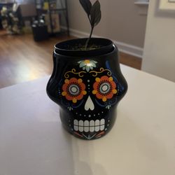 Skull Planter with ZZ Plant