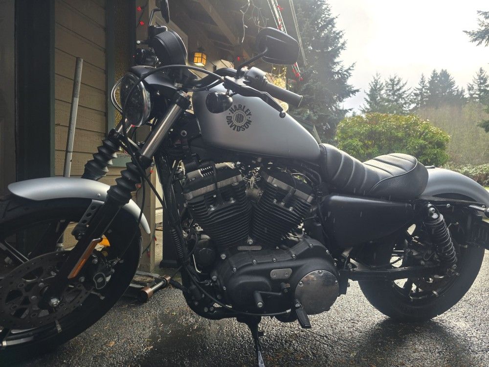 2020 Harley Davidson Sportster 883