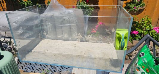 Free saltwater tank 50 gallon and equipment