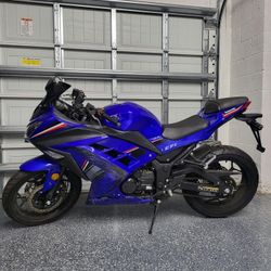 Roadster 250cc 6 Speed Motorcycle