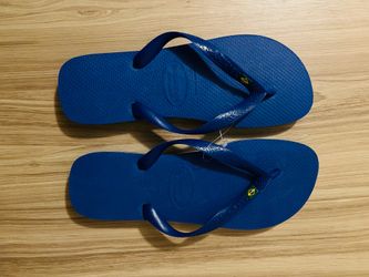 Men’s Havaianas Sandals (NEW)
