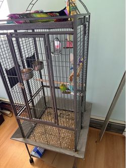 Bird cage and accessories