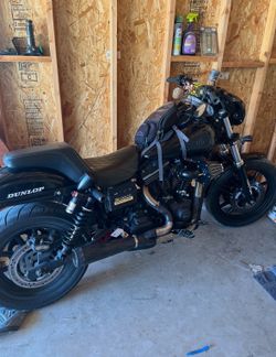 Harley street bob