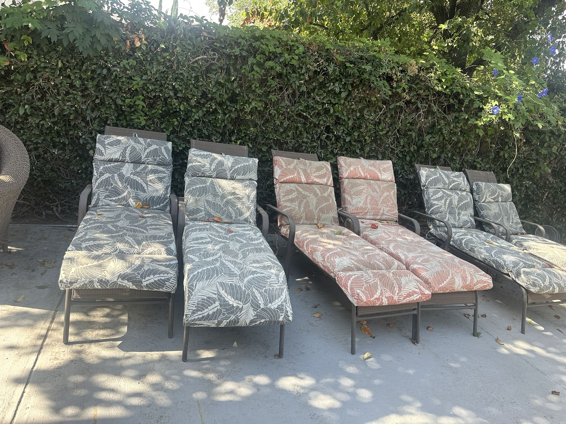 Lawn Chairs Set Of 6 Of With Pillows All 6 At This Price