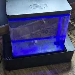 Topfin Infinity Edge Aquarium 10 Gallons