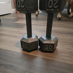 Pair Of 20 Lb Weights Dumbells
