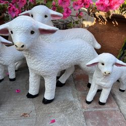 Garden Decorations
