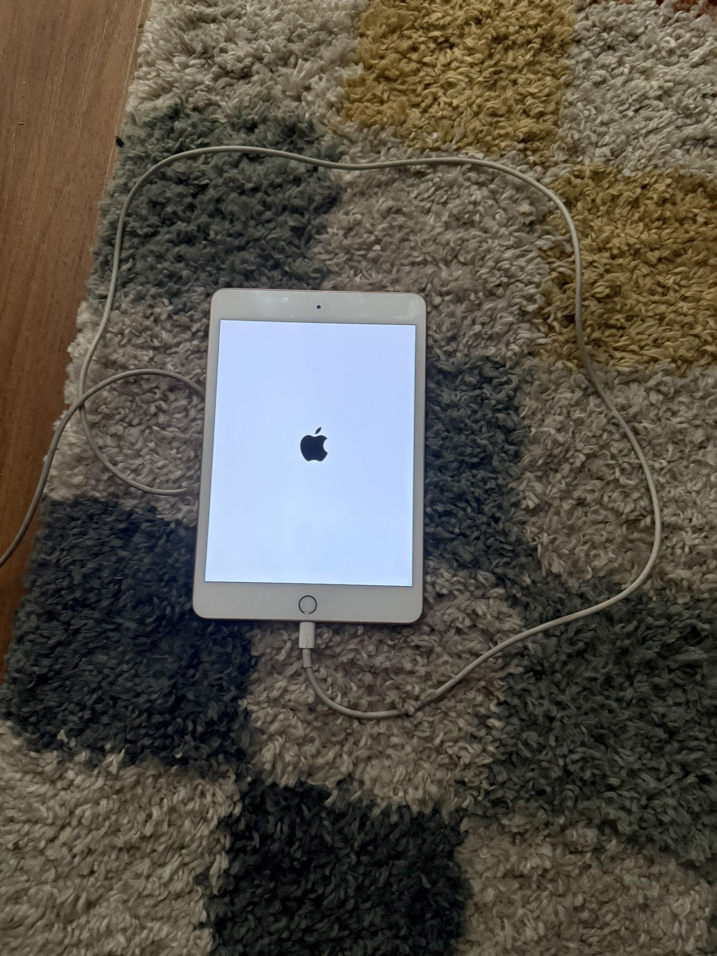 iPad Mini