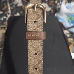 Large size Coach women's belt